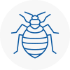 Bed Bug Extermination In Hertford