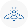 Bee Nest Removal Hertford
