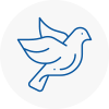 Bird Prevention Hertford