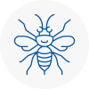 Hertford Hornet Nest Removals