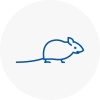 Mice Exterminators In Hertford