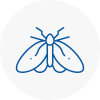 Moth Control Specialists In Hertford