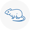 Rat Control Hertford