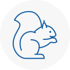 Hertford Rodent Removals