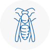 Hertford Wasp Nest Removal